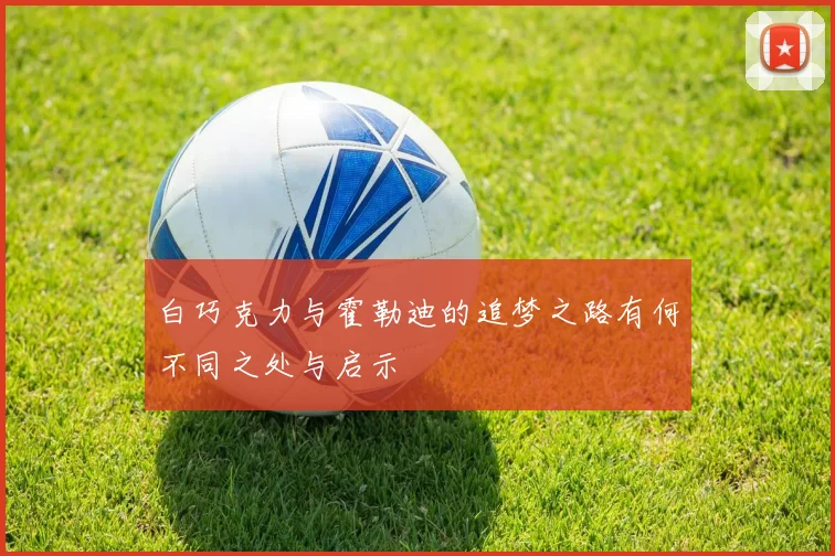 白巧克力与霍勒迪的追梦之路有何不同之处与启示